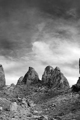 Book cover for At the Trona Pinnacles