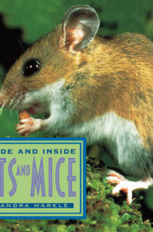 Cover of Outside and Inside Rats and Mice