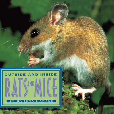 Book cover for Outside and Inside Rats and Mice