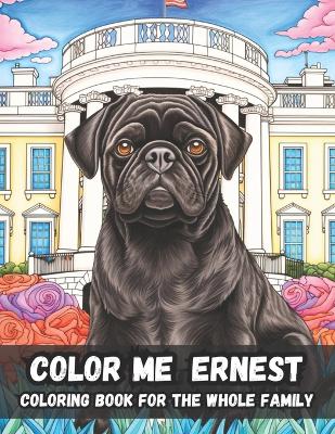 Book cover for Color Me Ernest For The Whole Family