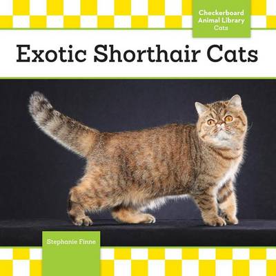 Book cover for Exotic Shorthair Cats