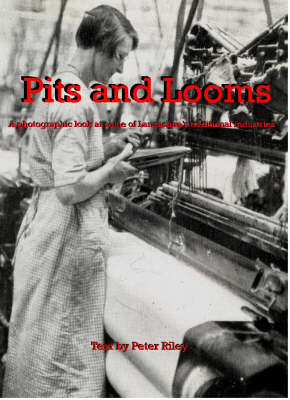 Book cover for Pits and Looms