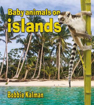 Book cover for Baby Animals on Islands