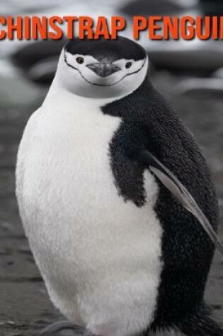 Cover of Chinstrap Penguin