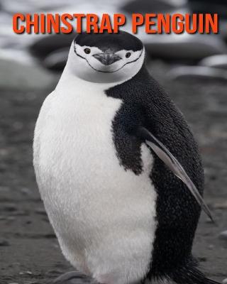Book cover for Chinstrap Penguin