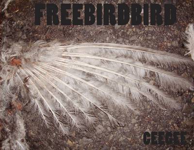 Book cover for Freebirdbird: The Birds of New York