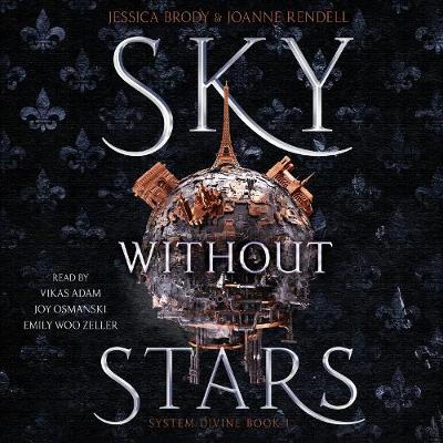 Book cover for Sky Without Stars