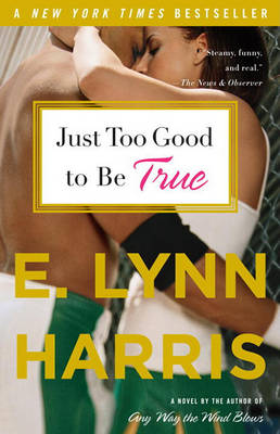 Book cover for Just Too Good to Be True