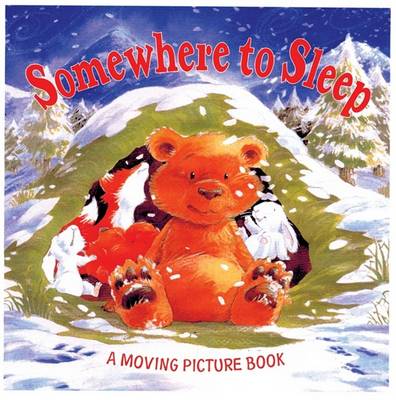 Book cover for Somewhere to Sleep