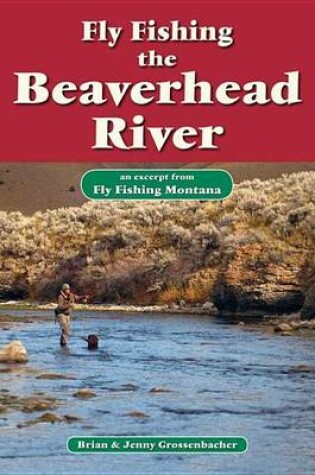 Cover of Fly Fishing the Beaverhead River