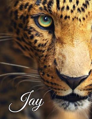 Book cover for Jay