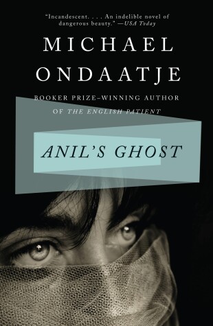 Book cover for Anil's Ghost