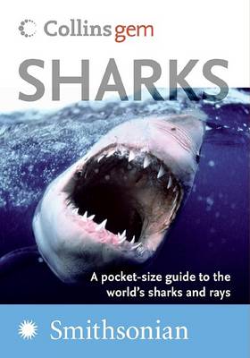 Book cover for Sharks