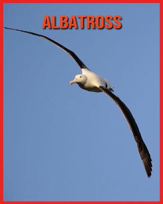 Book cover for Albatross