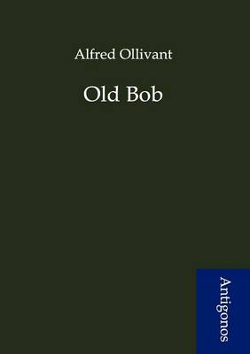 Book cover for Old Bob