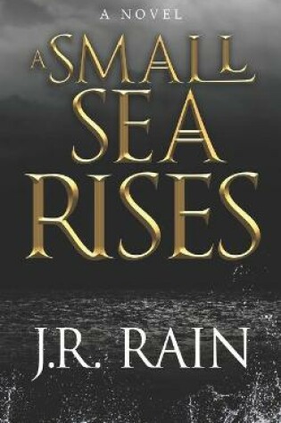 Cover of A Small Sea Rises