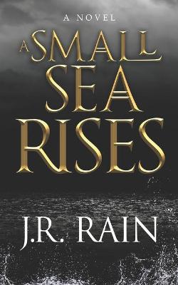 Book cover for A Small Sea Rises