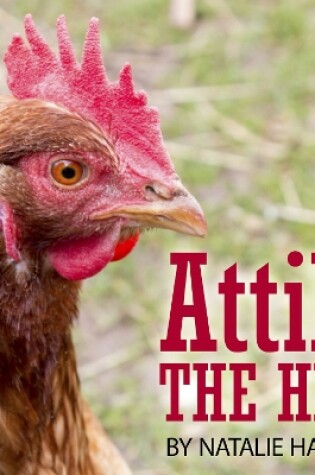 Cover of Attila The Hen