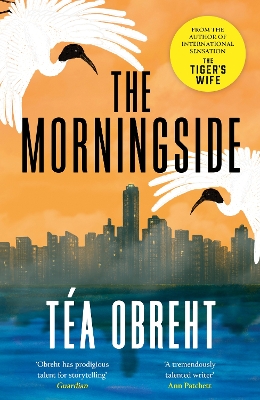 Book cover for The Morningside