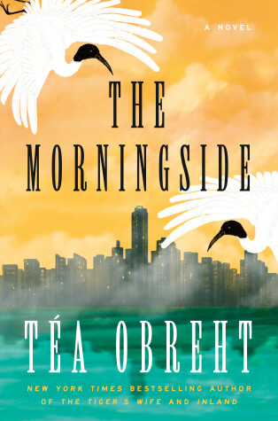 Book cover for The Morningside