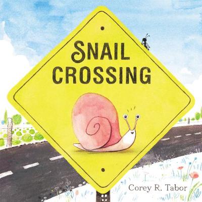 Book cover for Snail Crossing