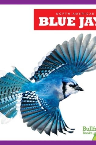 Cover of Blue Jays