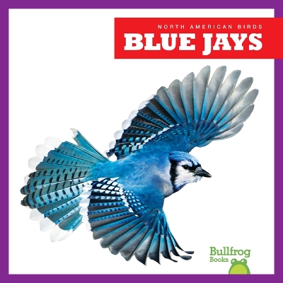 Cover of Blue Jays