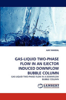 Book cover for Gas-Liquid Two-Phase Flow in an Ejector Induced Downflow Bubble Column