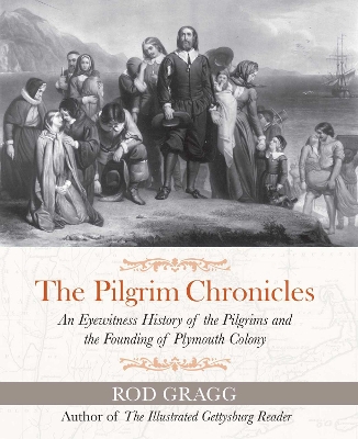 Book cover for The Pilgrim Chronicles