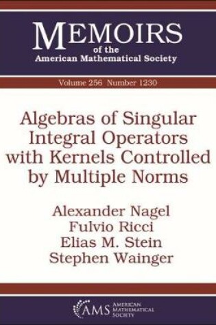 Cover of Algebras of Singular Integral Operators with Kernels Controlled by Multiple Norms