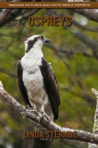 Cover of Ospreys