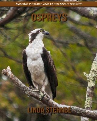 Book cover for Ospreys