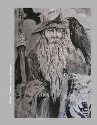 Book cover for Odin the Wanderer