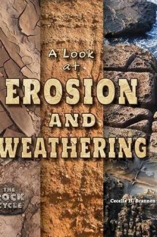 Cover of A Look at Erosion and Weathering