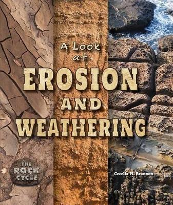 Book cover for A Look at Erosion and Weathering