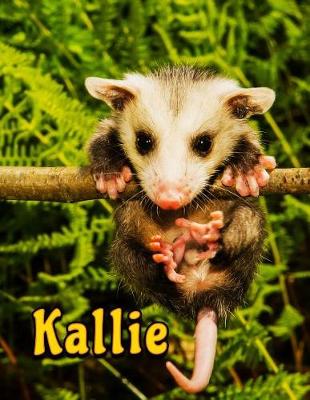 Book cover for Kallie