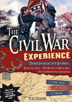 Book cover for Civil War Experience