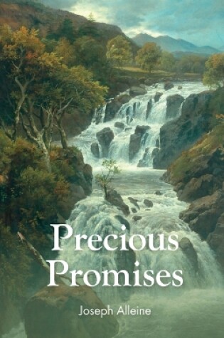 Cover of Precious Promises