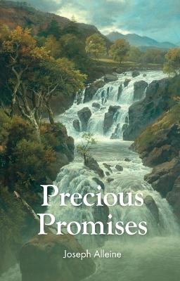 Book cover for Precious Promises