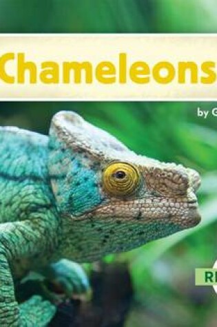 Cover of Chameleons