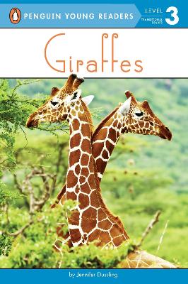 Book cover for Giraffes