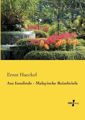 Book cover for Aus Insulinde - Malayische Reisebriefe