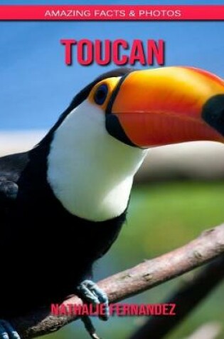 Cover of Toucan