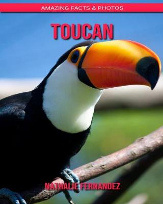 Book cover for Toucan