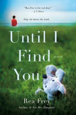 Cover of Until I Find You