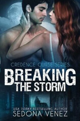 Cover of Breaking the Storm