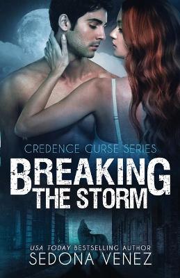 Book cover for Breaking the Storm