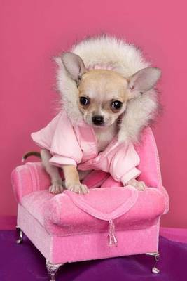 Book cover for Fashionable Chihuahua in Pink Dog Journal