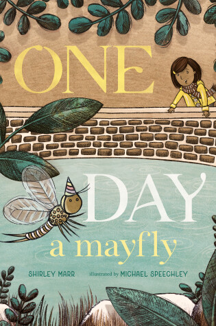 Cover of One Day a Mayfly