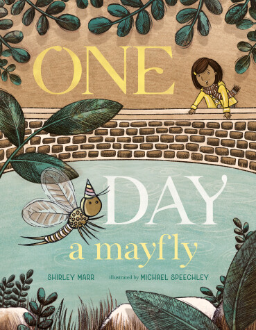 Book cover for One Day a Mayfly